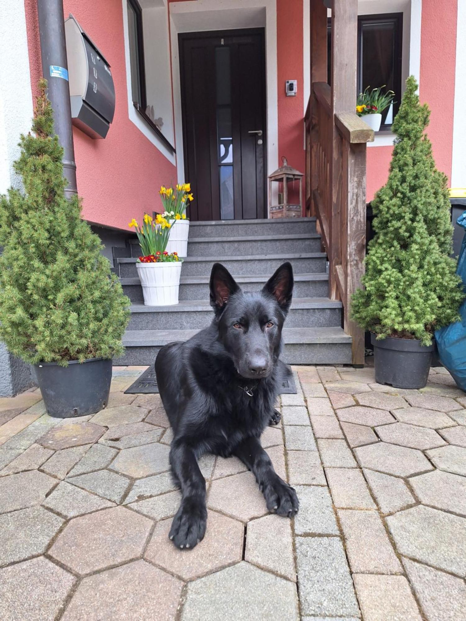 Haus Hoell Herta Hallstatt Ngoại thất bức ảnh