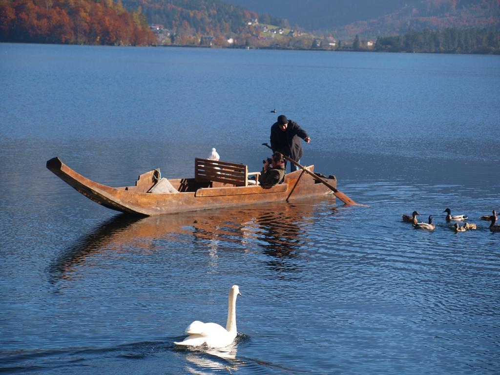 Haus Hoell Herta Hallstatt Ngoại thất bức ảnh